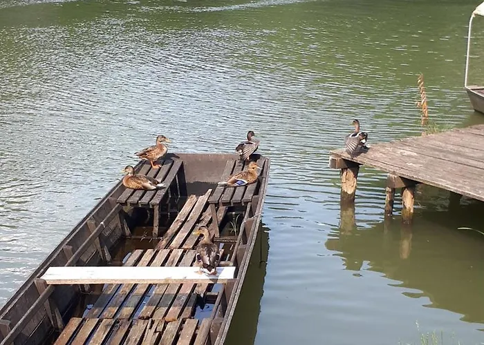 Moravski Konak- Moravian 펜션